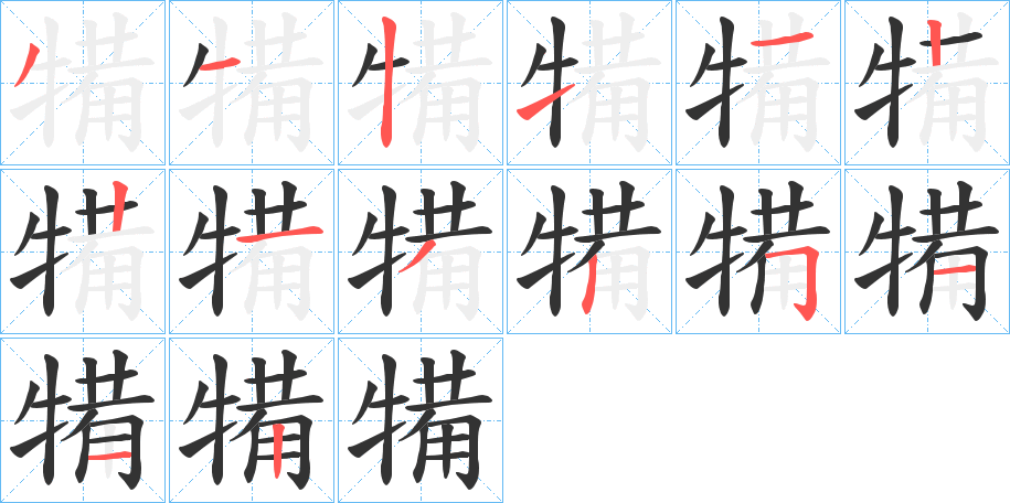 犕字的笔顺分布演示