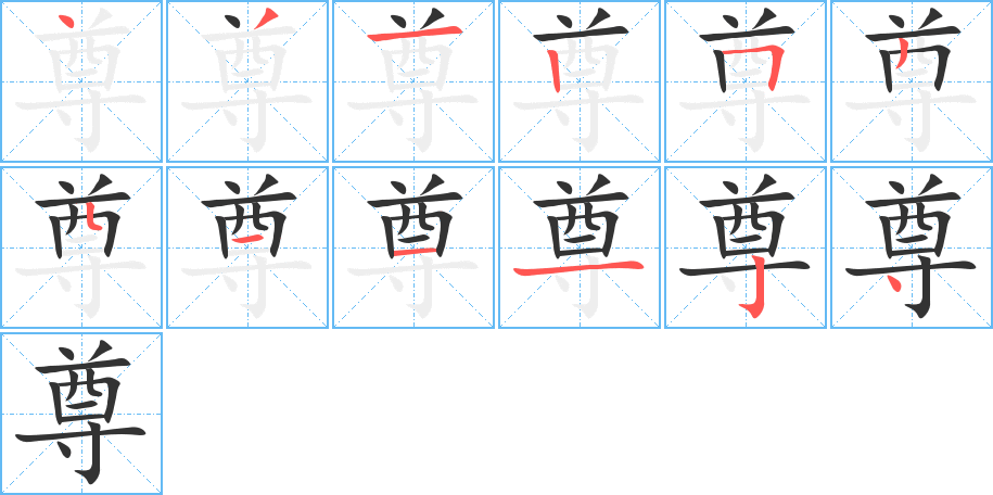 尊字的笔顺分布演示