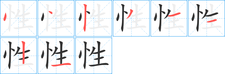 性字的笔顺分布演示