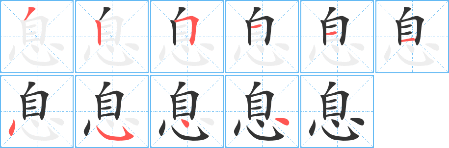 息字的笔顺分布演示