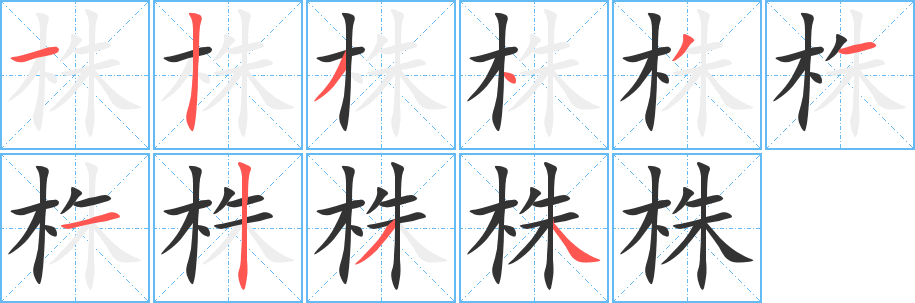 株字的笔顺分布演示