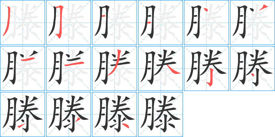 滕字的笔顺分布演示