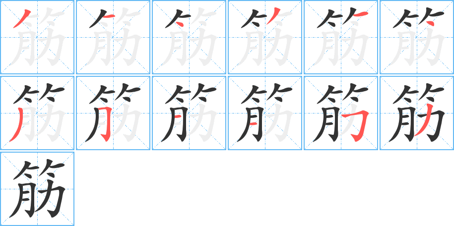 筋字的笔顺分布演示