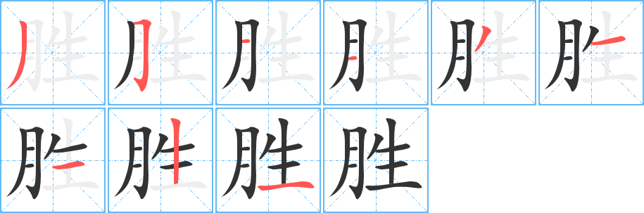 胜字的笔顺分布演示