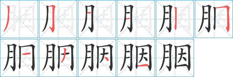 胭字的笔顺分布演示