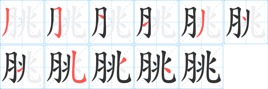 脁字的笔顺分布演示