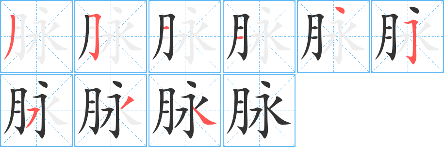 脉字的笔顺分布演示