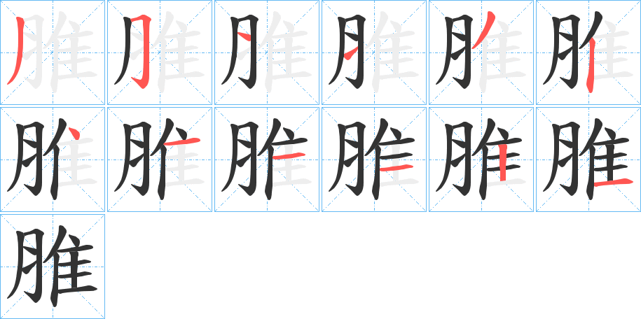 脽字的笔顺分布演示