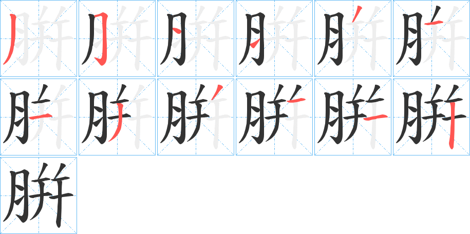 腁字的笔顺分布演示