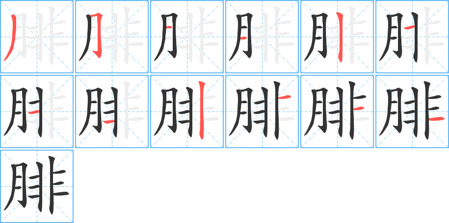 腓字的笔顺分布演示