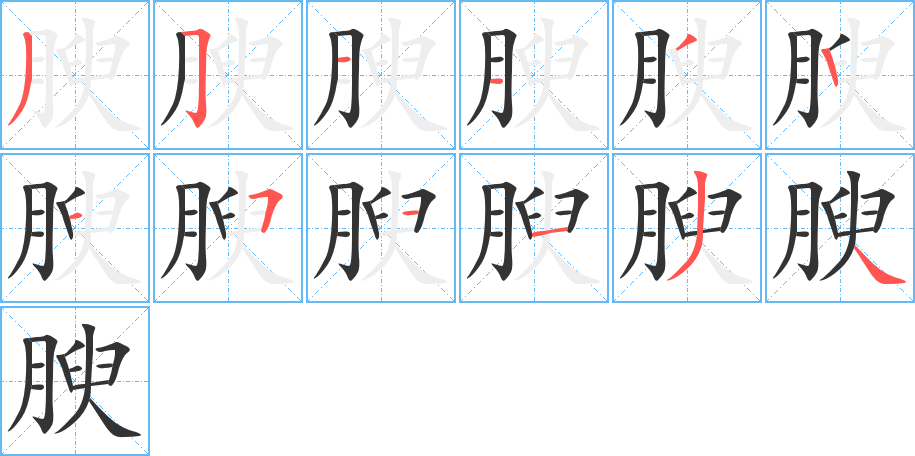 腴字的笔顺分布演示