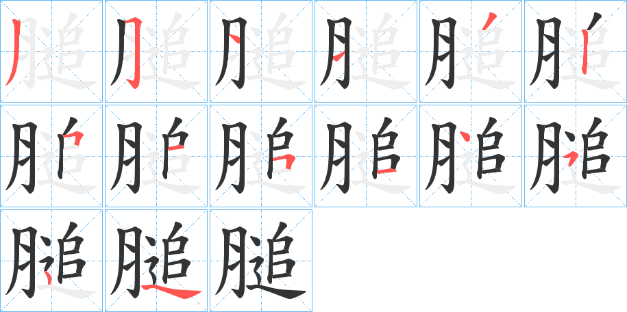 膇字的笔顺分布演示