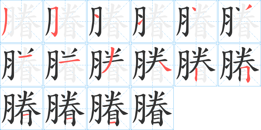 膡字的笔顺分布演示