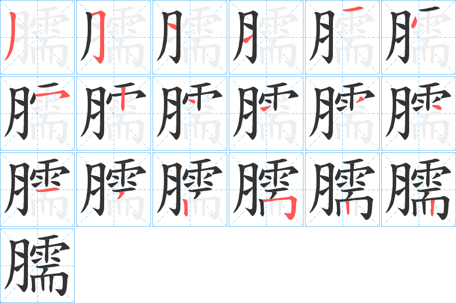 臑字的笔顺分布演示