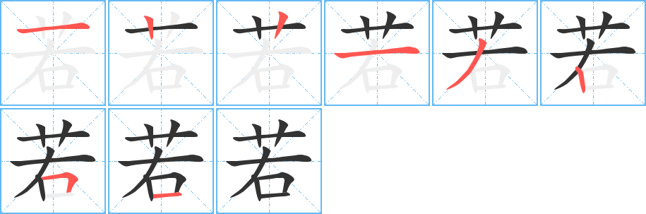 若字的笔顺分布演示