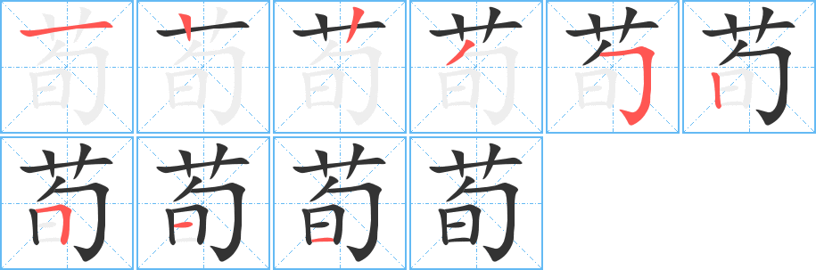 荀字的笔顺分布演示