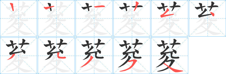 荾字的笔顺分布演示