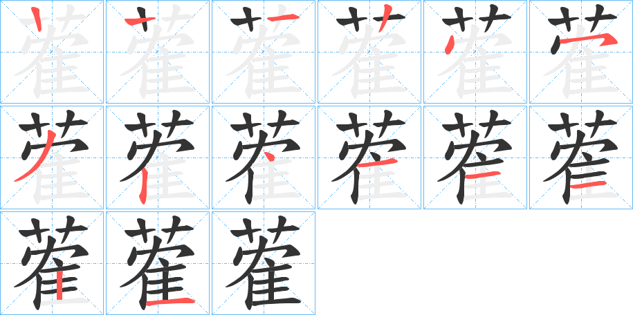 蒮字的笔顺分布演示