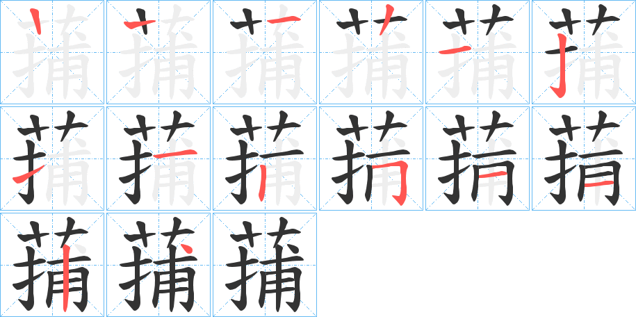 蒱字的笔顺分布演示