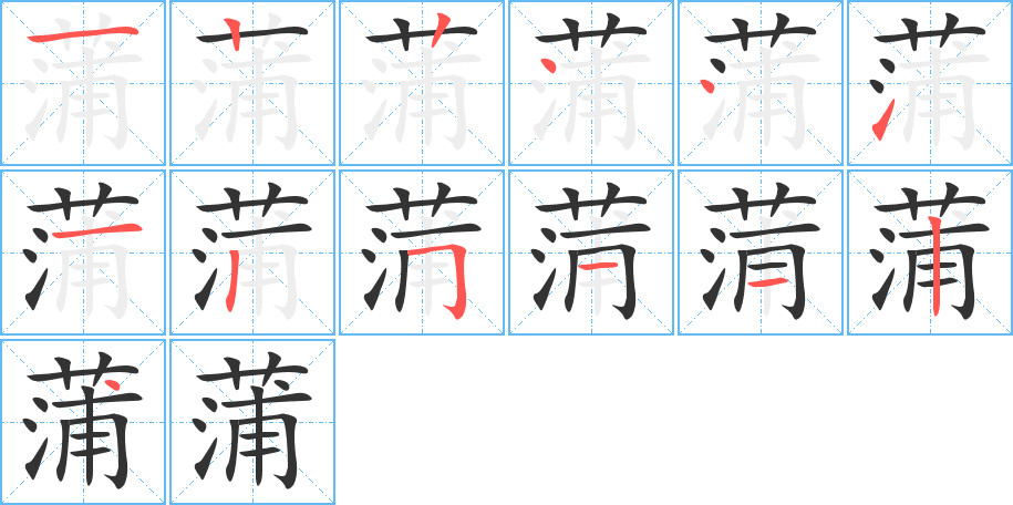 蒲字的笔顺分布演示