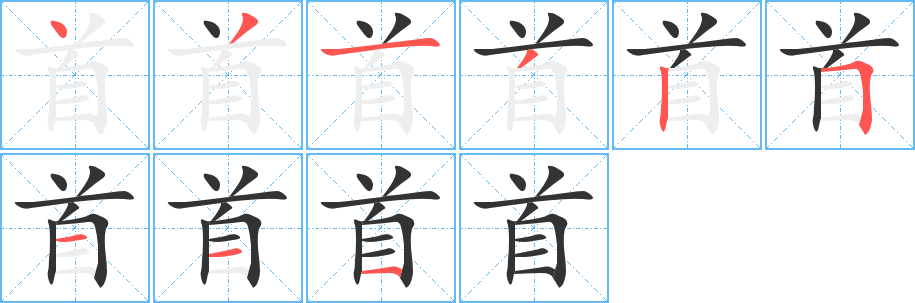 首字的笔顺分布演示