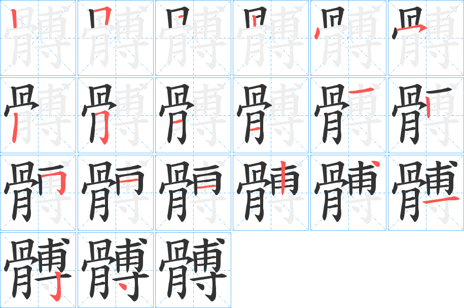 髆字的笔顺分布演示