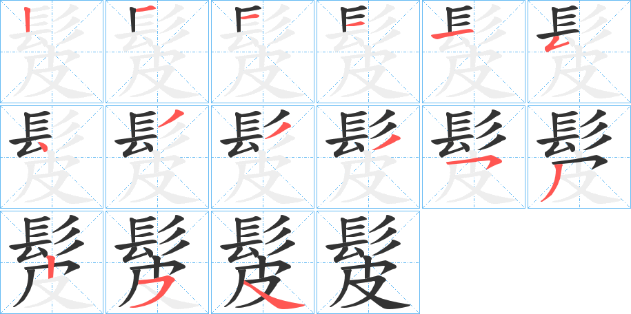 髲字的笔顺分布演示