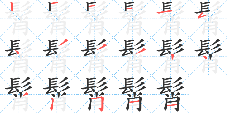 髾字的笔顺分布演示