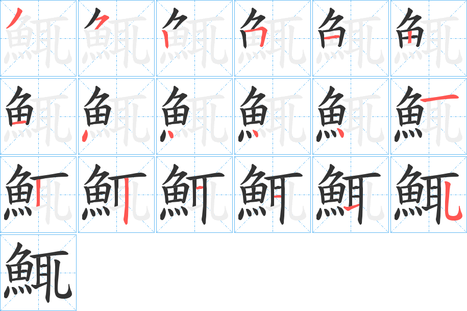 鮿字的笔顺分布演示