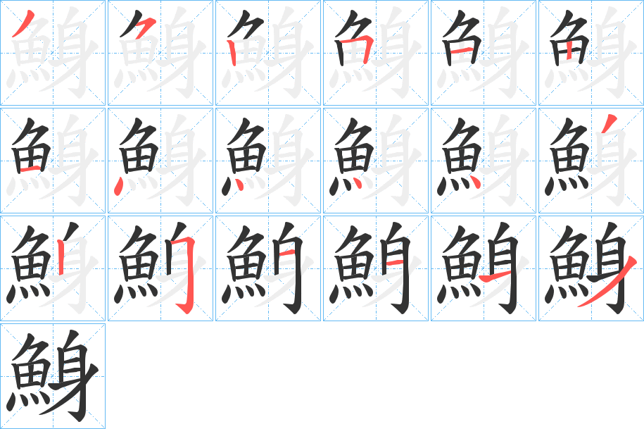 鯓字的笔顺分布演示