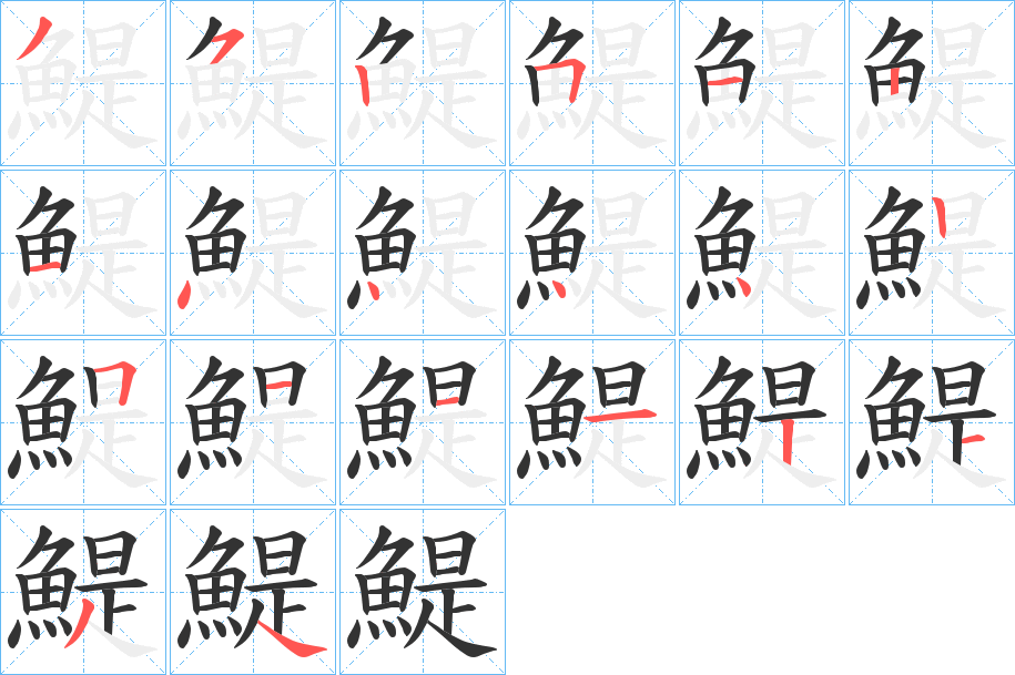 鯷字的笔顺分布演示