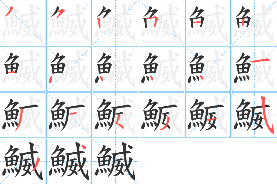 鰄字的笔顺分布演示