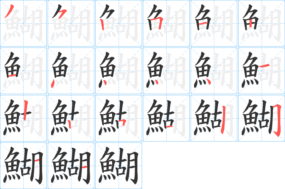 鰗字的笔顺分布演示