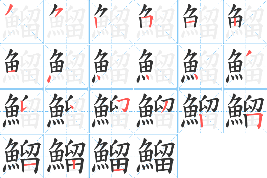 鰡字的笔顺分布演示