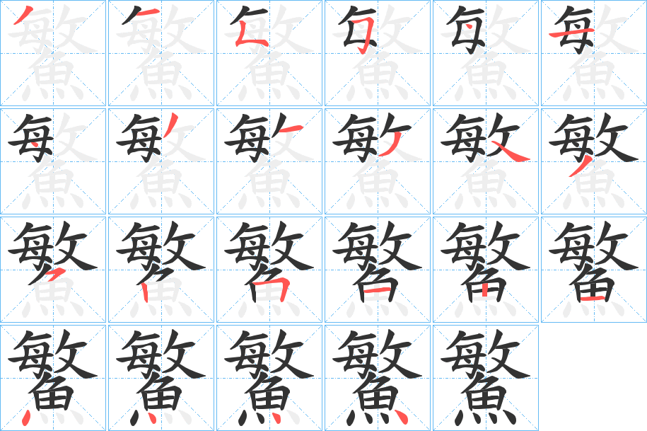 鰵字的笔顺分布演示