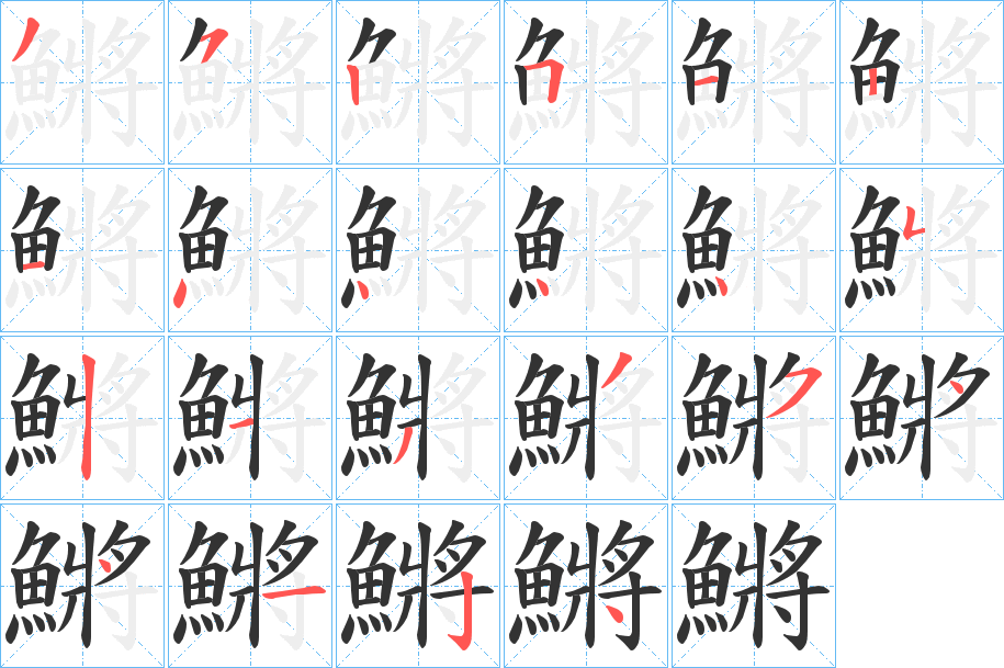 鱂字的笔顺分布演示