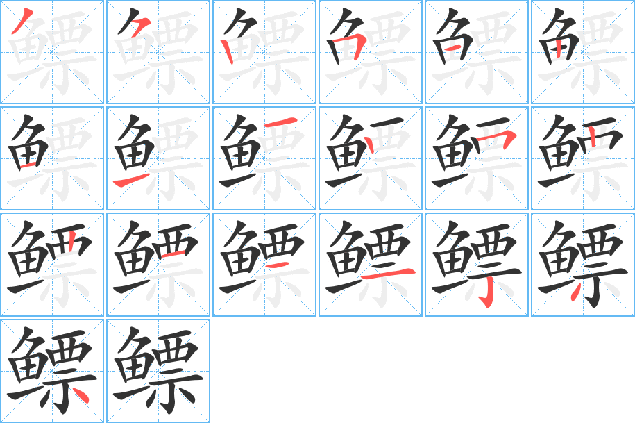 鳔字的笔顺分布演示