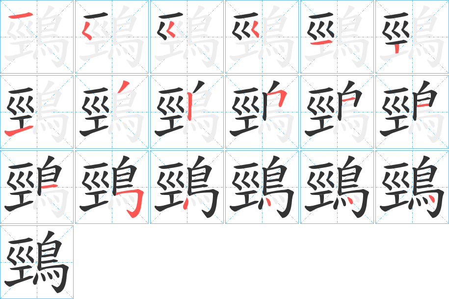 鵛字的笔顺分布演示