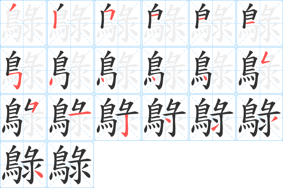 鵦字的笔顺分布演示