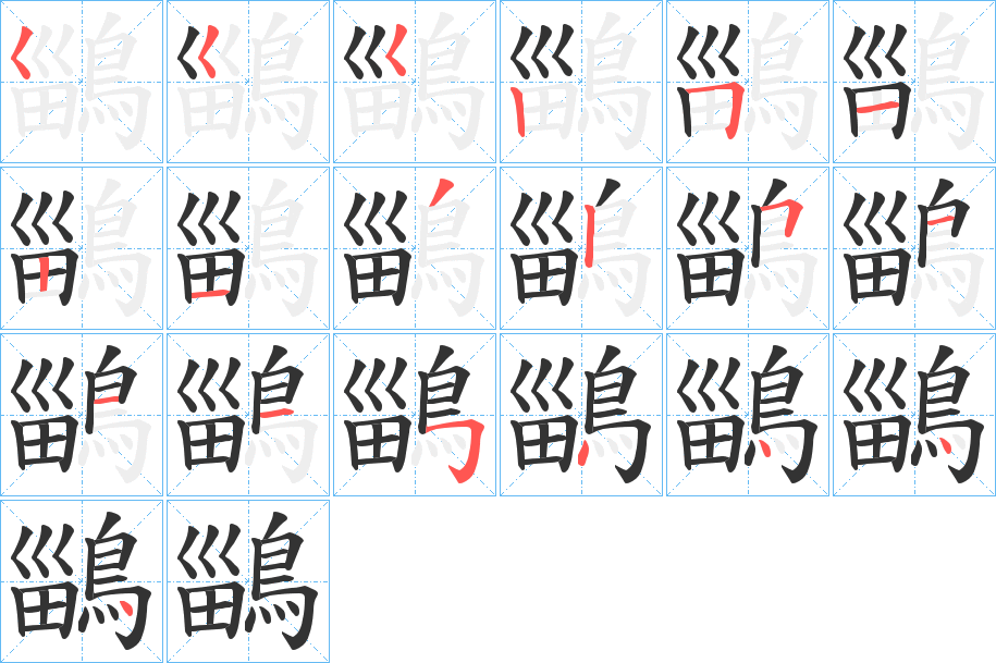 鶅字的笔顺分布演示