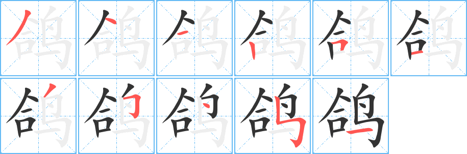 鸽字的笔顺分布演示