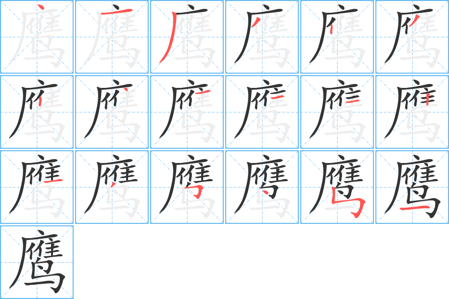 鹰字的笔顺分布演示