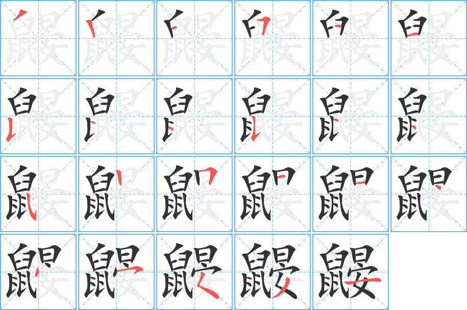 鼹字的笔顺分布演示